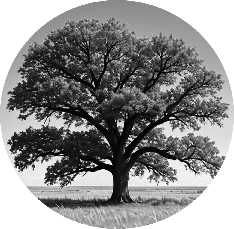 Oaks of Righteousness